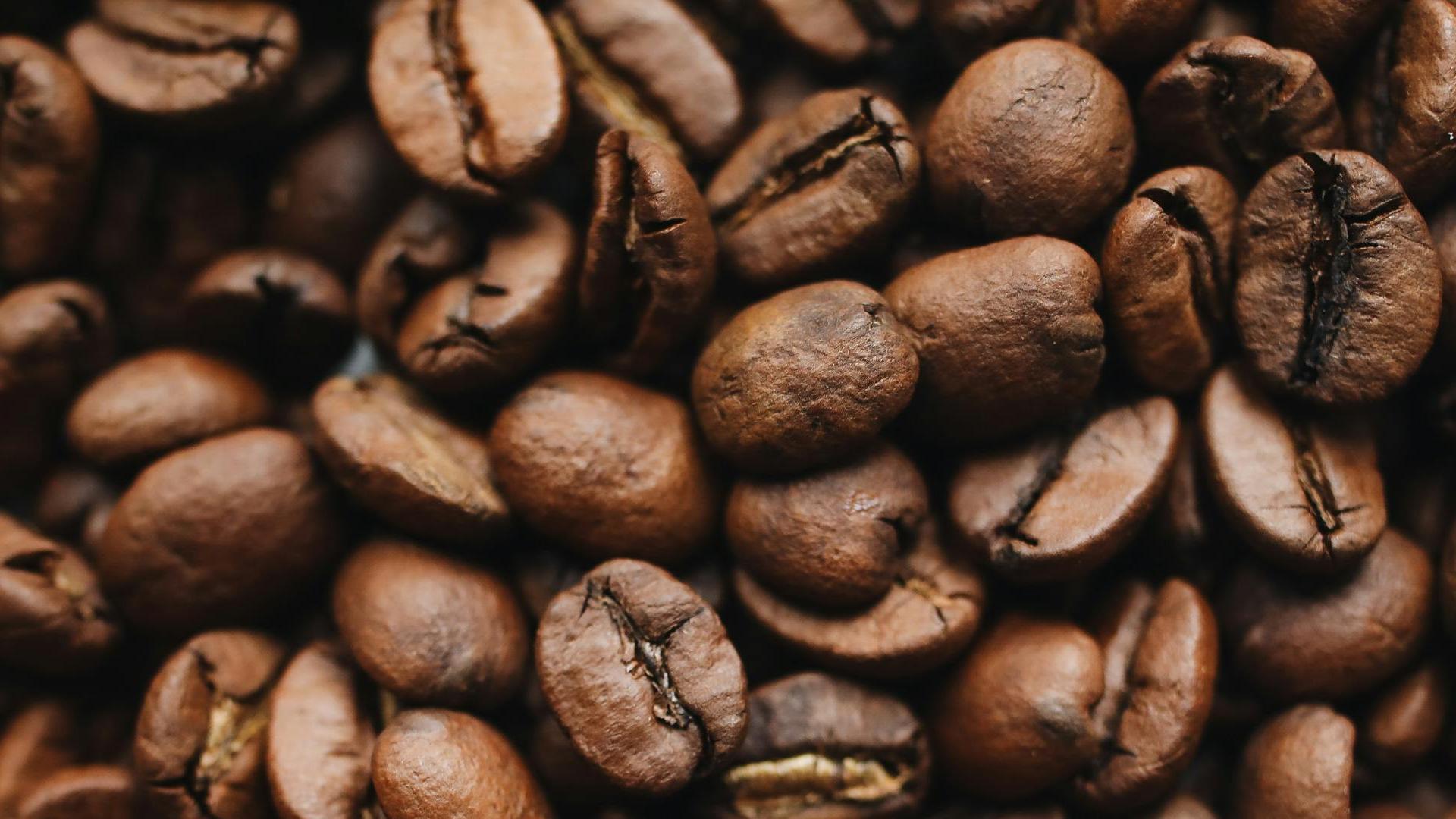 Specialty coffee beans — dark roast close-up